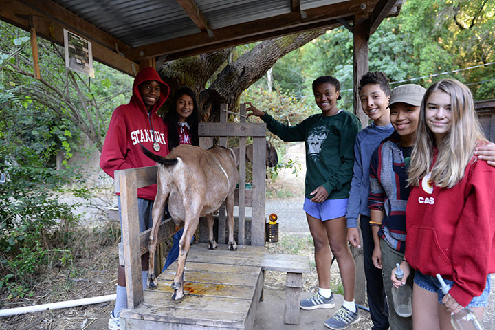 Teens stand around goat in milking stand smiling