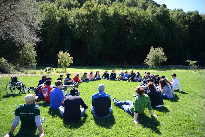 People sit in a circle on the grass on a sunny day